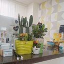 쉼게스트하우스 이미지