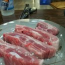 돼지의전성시대 이미지