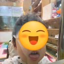 모텔 욜로(YOLO) | [행크 머니 콘서트]평범한 사람들이 부자가 되는 곳