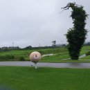 메이플투어 이미지