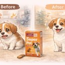 부평종로약국 이미지