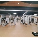 서래 퍼스널 트레이닝 | 탄탄한 몸매와 건강을 위한 최적의 공간, 서래마을필라테스 퓨어필라테스