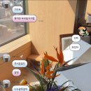 서초중앙로24길 35 (1) | 빼앗긴 봄에도 감사한 일 듬뿍이었던 (5월 일상 1편; 압구정 가담, 회현 서령, 스시야 도산대로점_신스...