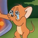 이화여자대학교 임상치의학대학원 이미지