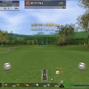 마니아스크린골프 이미지