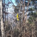 솔봉펜션 이미지