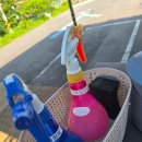 컴인워시 용인양지점 | 폭염에도 시원하게 셀프세차할 수 있었던 컴인워시 용인수지점 방문 후기