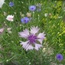 칠백농장 이미지