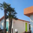 옵타티오펜션 이미지