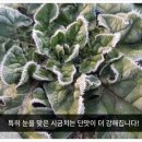 우빈농장 이미지