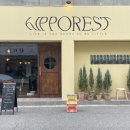 히포레스트(Hipporest) 이미지