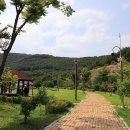123 치유의숲 야영장 이미지