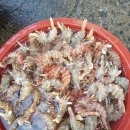 싱싱농수산
