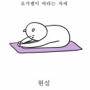 개맛도리