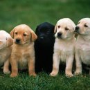 대우당약국 이미지