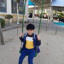 회원초등학교 이미지