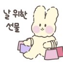 피크베리머치 이미지
