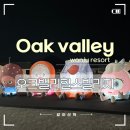 지에스25 동탄힐스점 | 오크밸리리조트 힐스빌리지 노블 31평 리모델링 객실 콘도