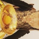 제이슨굿맨코튼클럽&화이트크리스마스 이미지