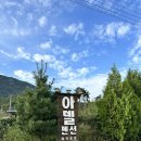 청도아델 이미지