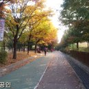 현대아파트길 이미지