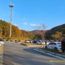 장동감나무보리밥 | 대전 계족산 황토길 - 장동감나무집보리밥