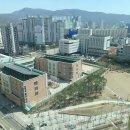 크린토피아금천롯데 | 구디/금천구 오피스텔, 금천롯데캐슬 2차/4차, 금천구청 롯데캐슬960 거주 후기