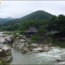 농월정주유소 Daum카페