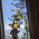 여수 가족숙소 라테라스리조트 내돈내산 후기예요