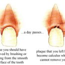 한마음치과의원 이미지