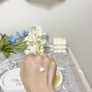 주식회사 피에이치엔 | [피에이치하비] 신제품 1그램 선크림 소프트 매트 후기 /끈적임없는선크림