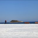 소나무와 호수 이미지