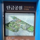 탄금축구장 축구장 | [6살, 8살, 11살 아이들과 나들이 후기] 충주 탄금 공원과 라바랜드
