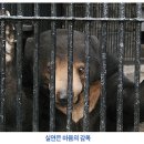훅