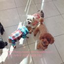 괴정3동-3 이미지