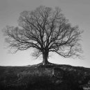 숨쉬는 돌 이미지