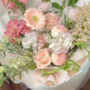 사파동252 이미지