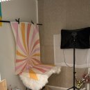 나나 애견 미용실 이미지