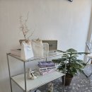 노랑콩두부 | 여행 중 들르기 좋은 디저트 맛집 콩이푸딩🍮 속노랑고구마·초코·녹차까지! 강화 특산물 푸딩 포장 후기