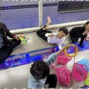 백석 더 혼 태권도 이미지