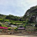 바위천국  송호삼거리 | 거제 여행코스 외도 보타니아｜인생샷 명당부터 배말칼국수까지 완벽했던 하루