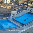 더 여수호스텔 | 여수 돌산 오션뷰 숙소 추천! 풀해드니유스호스텔 수영장 후기 해오름동 301호