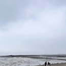 트래블지2 | 대부도 펜션 수영장 오션뷰 숙소 추천 트래블지 TRAVEL G