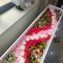 동래봉생병원 이미지