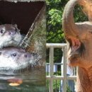 전주동물원 이미지