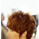 마샤헤어 이미지