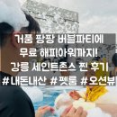 [강릉 애견동반 숙소] 아기랑 강아지랑! 세인트존스 호텔 펫룸, 수영장 버블파티, 해피아워 찐 후기