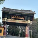 [광안리 가볼만한곳] 절 옥련선원 후기