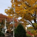 호미인문경 이미지