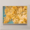 (주)다꼬르피스 | [다꼬르피스 후기] 화사한 꽃액자 Yellow Flowers 후기 모음